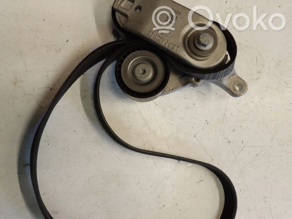 Tensor de correa del alternador   L1BG6A228CD