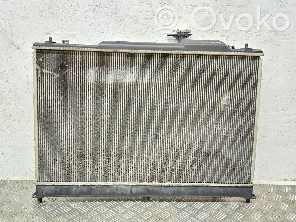 Wasserkühler   2220005133,B2AX