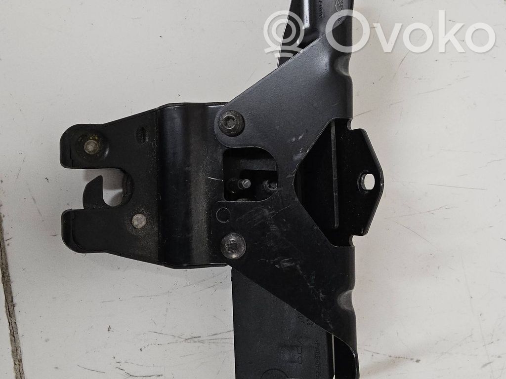 Tailgate/trunk/boot lock/catch/latch   489050823,970811