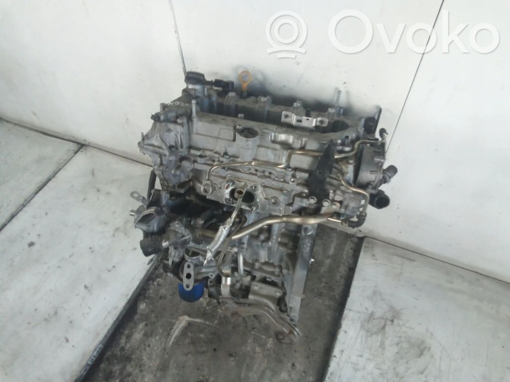 Variklis   LFV