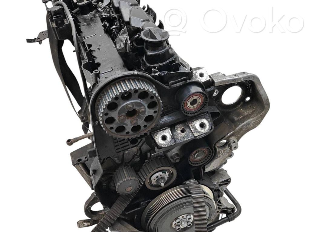 Engine   D4204T8