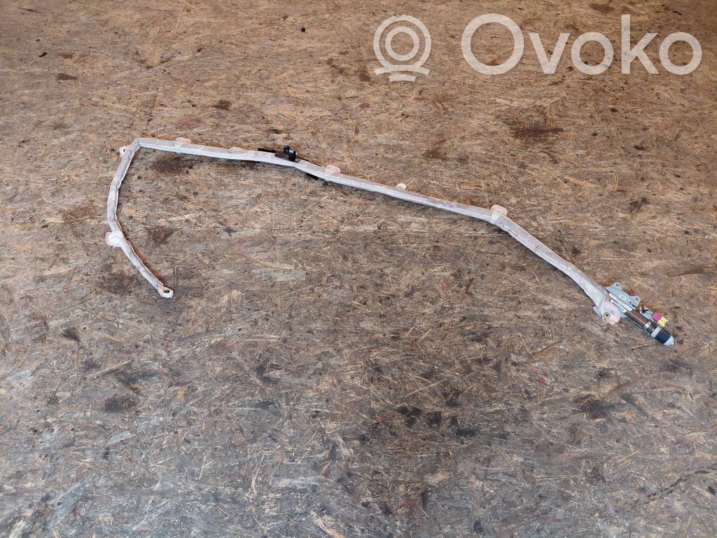 Audi A4 S4 B7 8E 8H Airbag del techo 