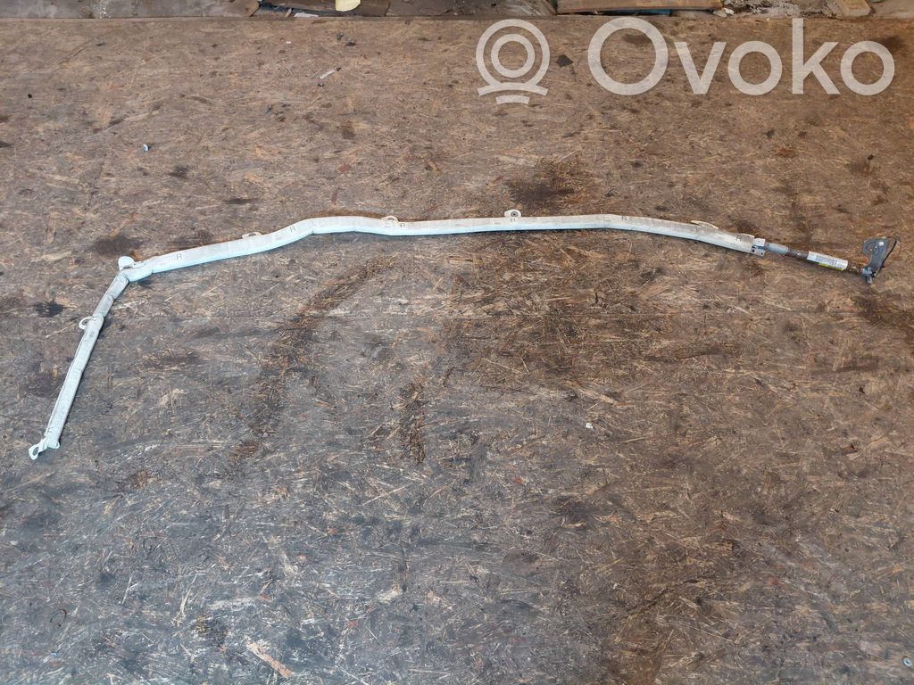 Audi A8 S8 D3 4E Airbag del techo 