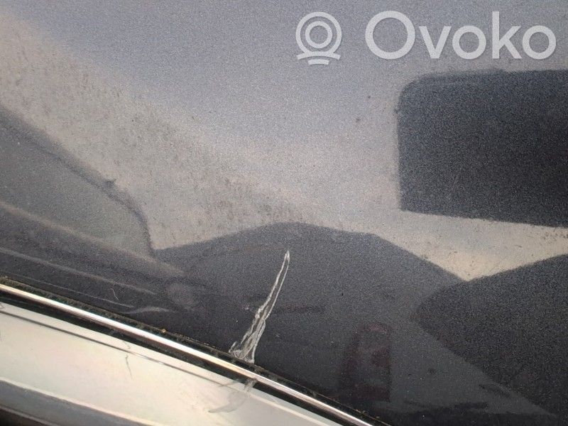 Tesla Model X Dzinēja pārsegs (vāks) 