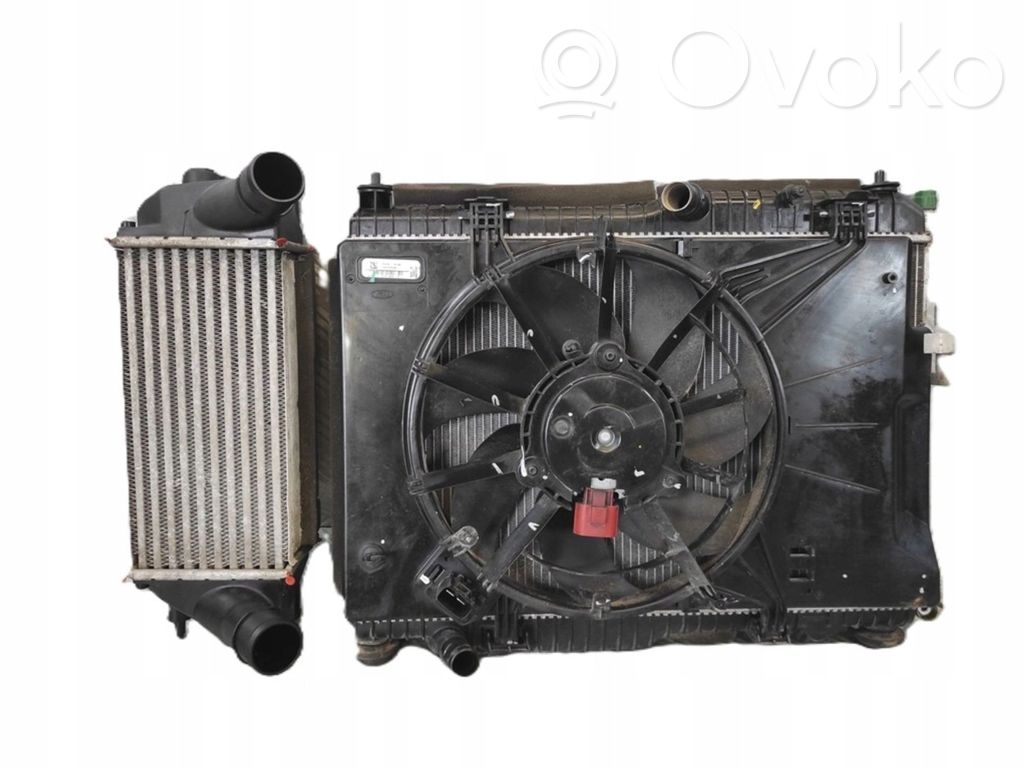 Ford Fiesta Intercooler radiator 
