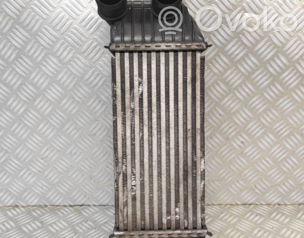 Interkūlerio radiatorius   1440084580,X4672003