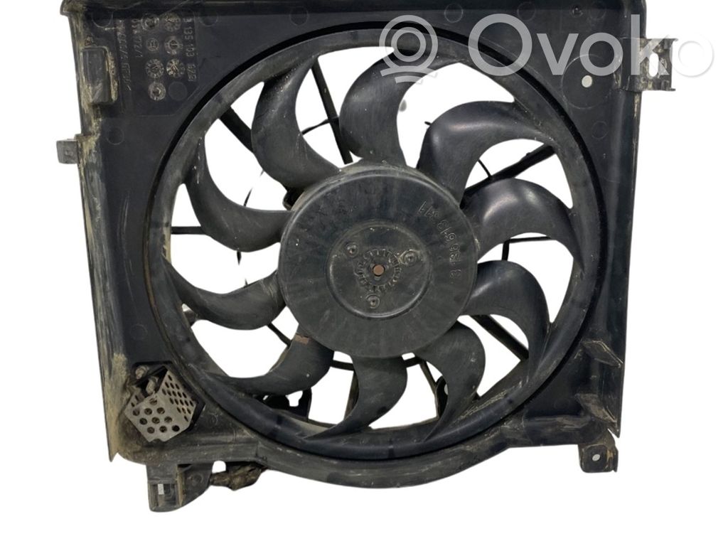 Elektrolüfter   3135103979