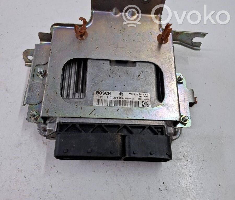 Engine control unit/module ECU   0281012250