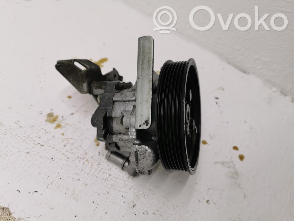 Power steering pump   6766190,6766190