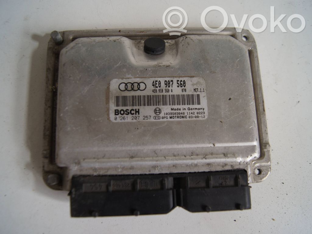 Audi A8 S8 D3 4E Sterownik / Moduł ECU 