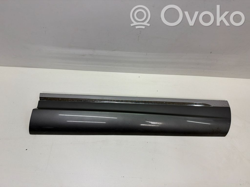 Volkswagen Touareg II Front door trim (molding) 