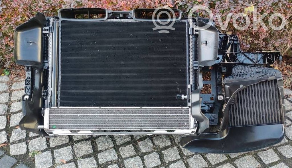 Audi RS Q8 Radiatoru panelis 