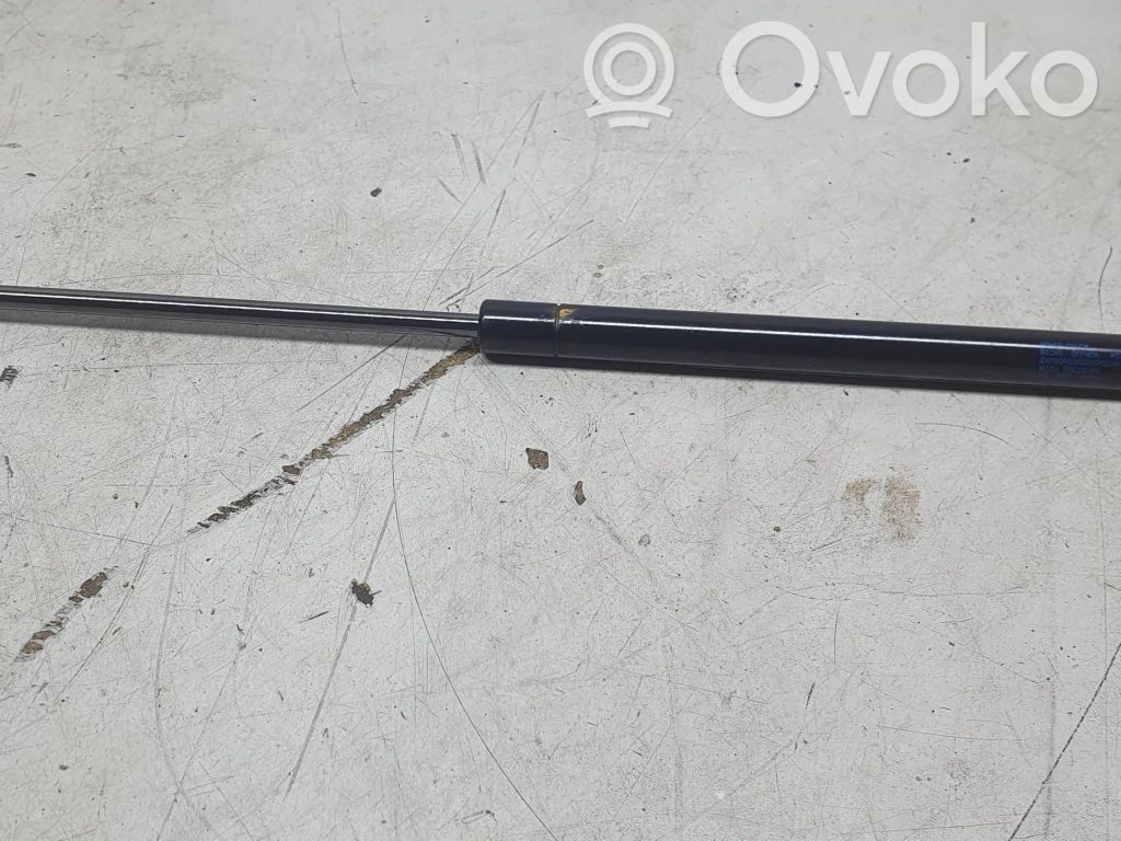 Volkswagen Eos Tailgate/trunk strut/damper 