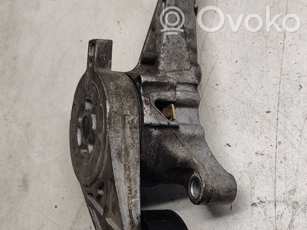 Volkswagen PASSAT B6 Napinacz paska alternatora 
