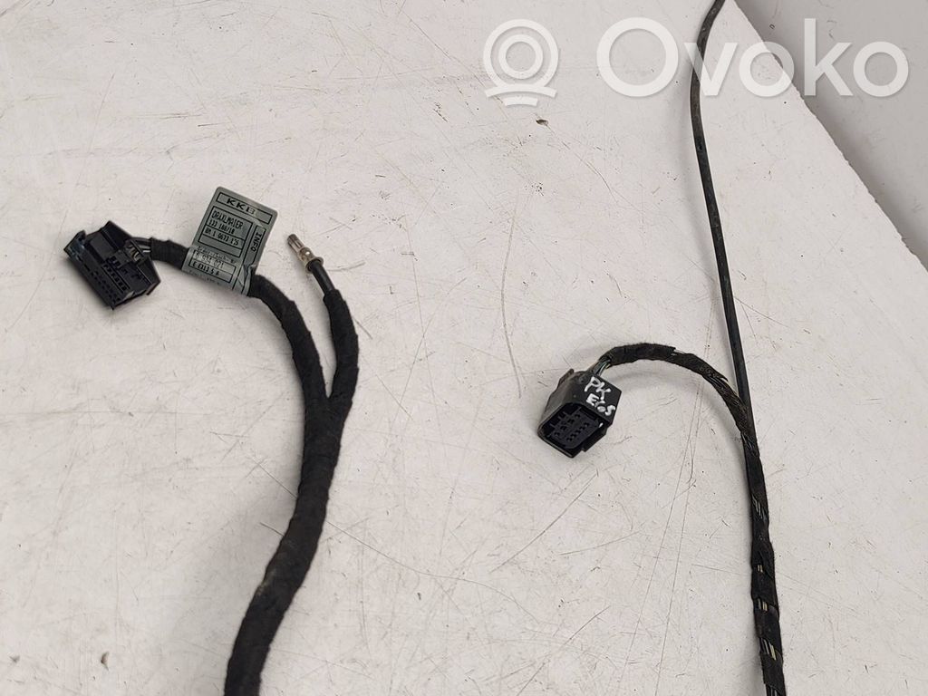 Cableado de puerta delantera   6934021