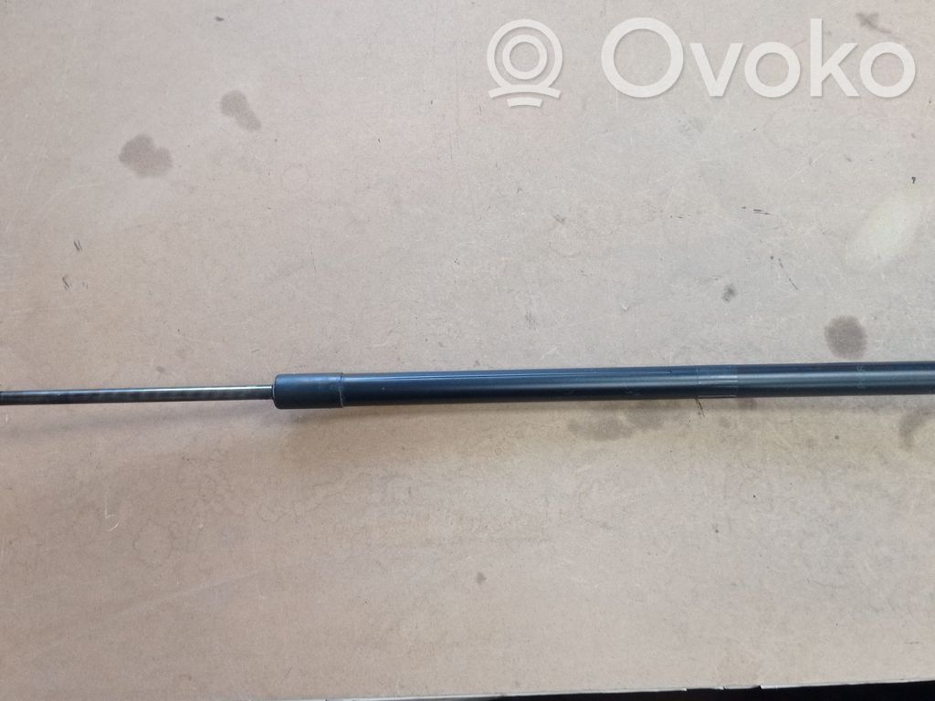 Chrysler Pacifica Tailgate strut 