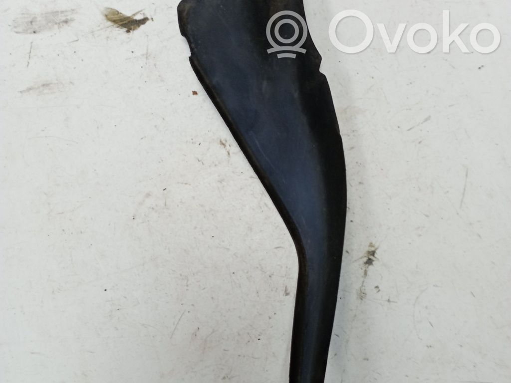 Chrysler Pacifica Windshield trim 