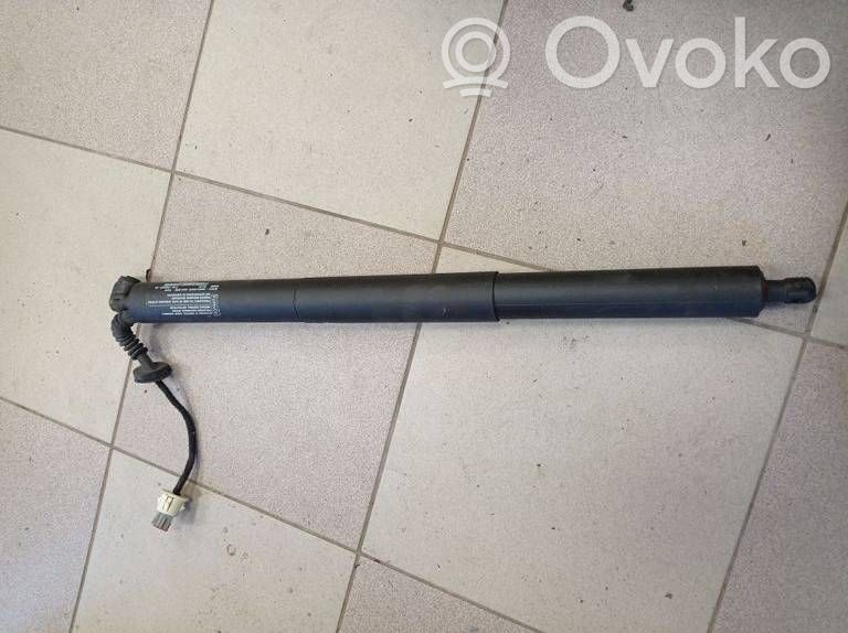 Ford Edge II Tailgate/trunk strut/damper 
