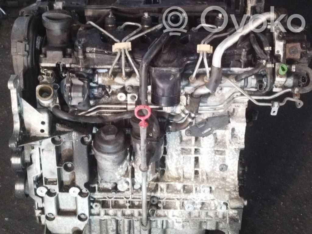 Variklis   D5244T,6901083,606609