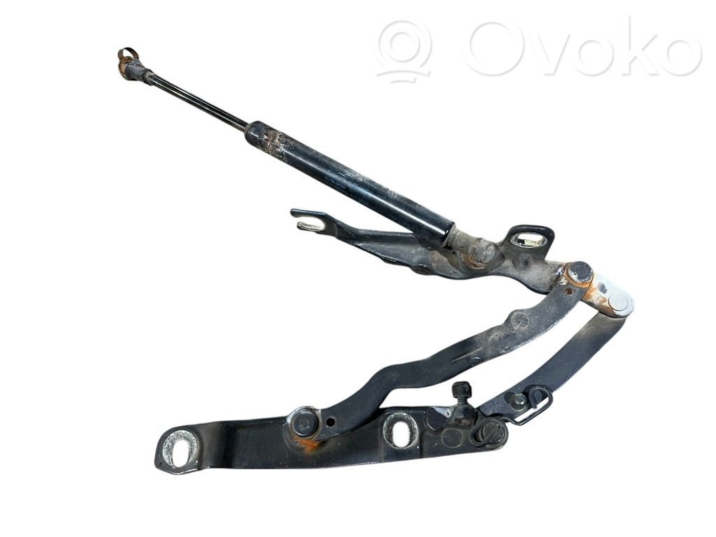 Tailgate/trunk/boot hinge   7016179