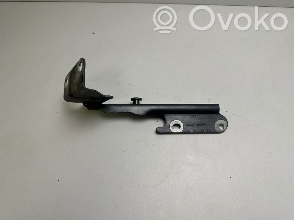 Tailgate/trunk/boot hinge   E816K,25D3A,BR3316800A