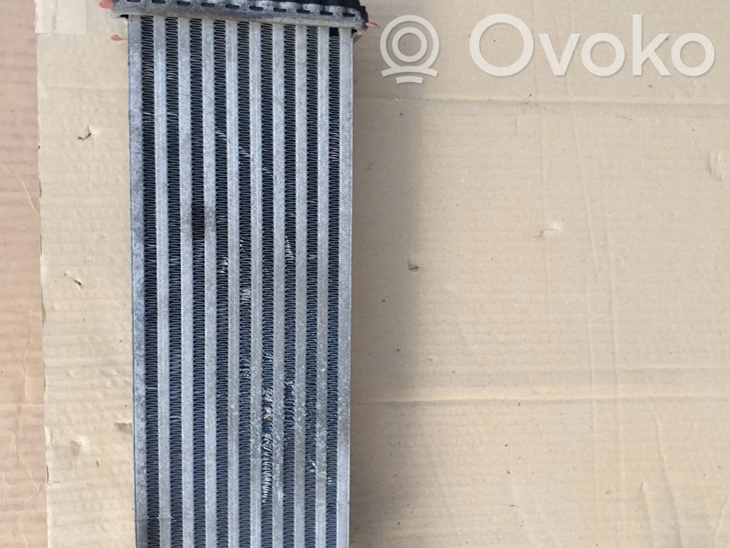 Renault Kangoo II Intercooler radiator 