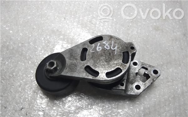 Seat Ibiza III (6L) Tensor de correa del alternador 