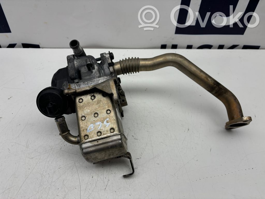 Válvula EGR   36010128