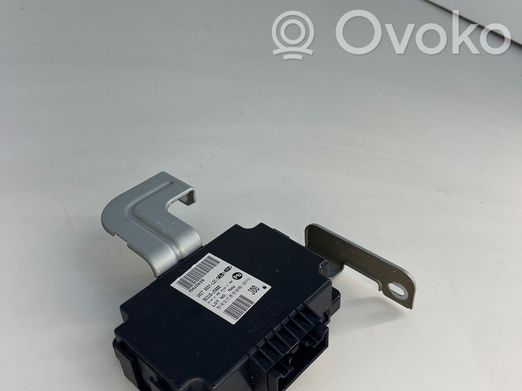 Autres unités de commande / modules   95310J5000,MHW2020