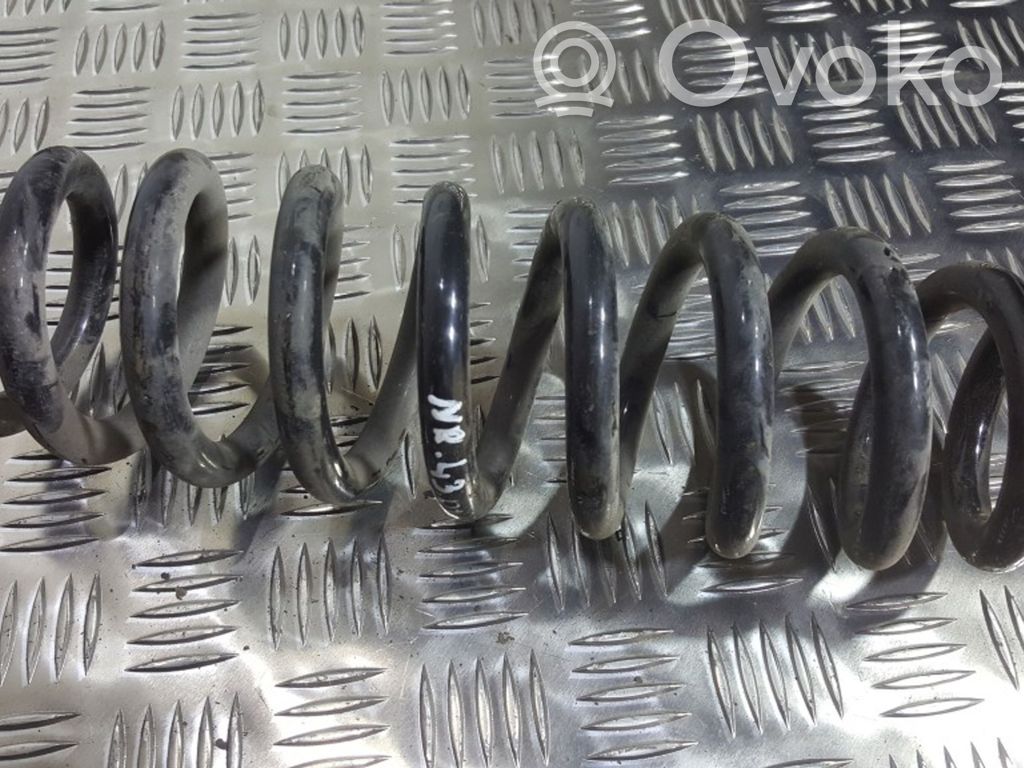 Rear coil spring