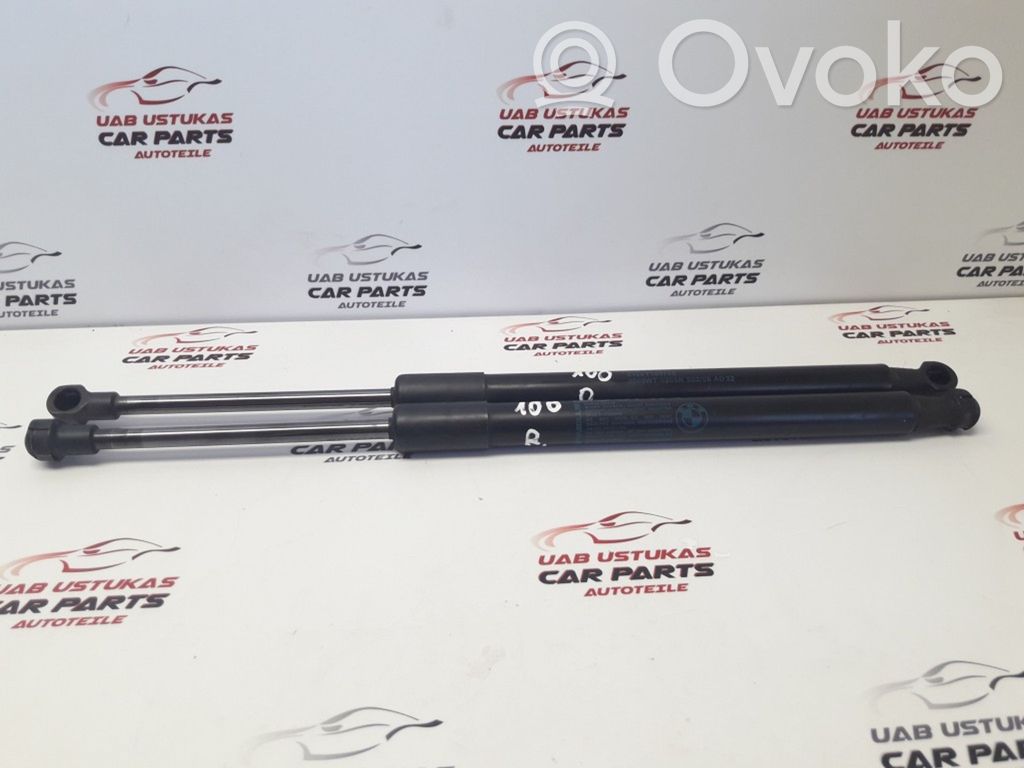 BMW 1 E81 E87 Tailgate/trunk strut/damper 