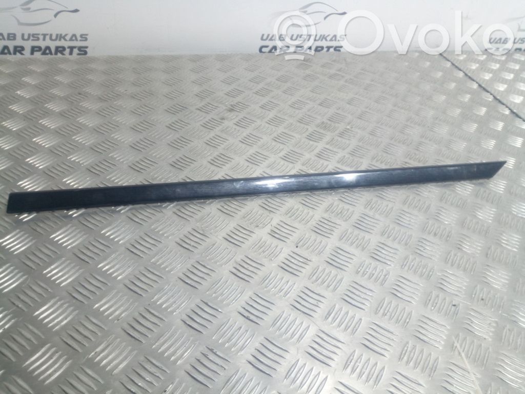 Listwa drzwi tylnych   8172036