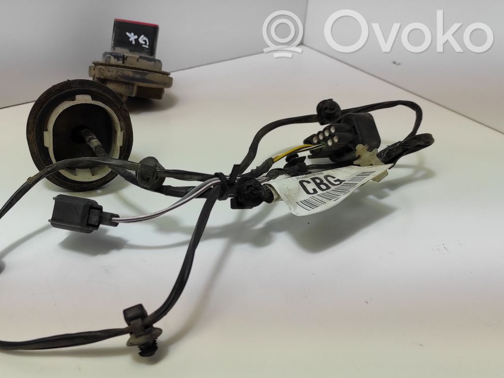 Ford Focus Cableado de puerta trasera 