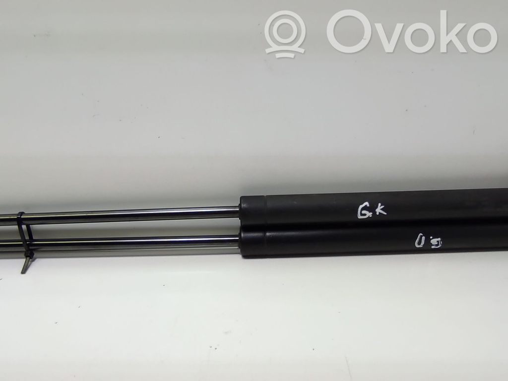 Peugeot 206 Tailgate/trunk strut/damper 