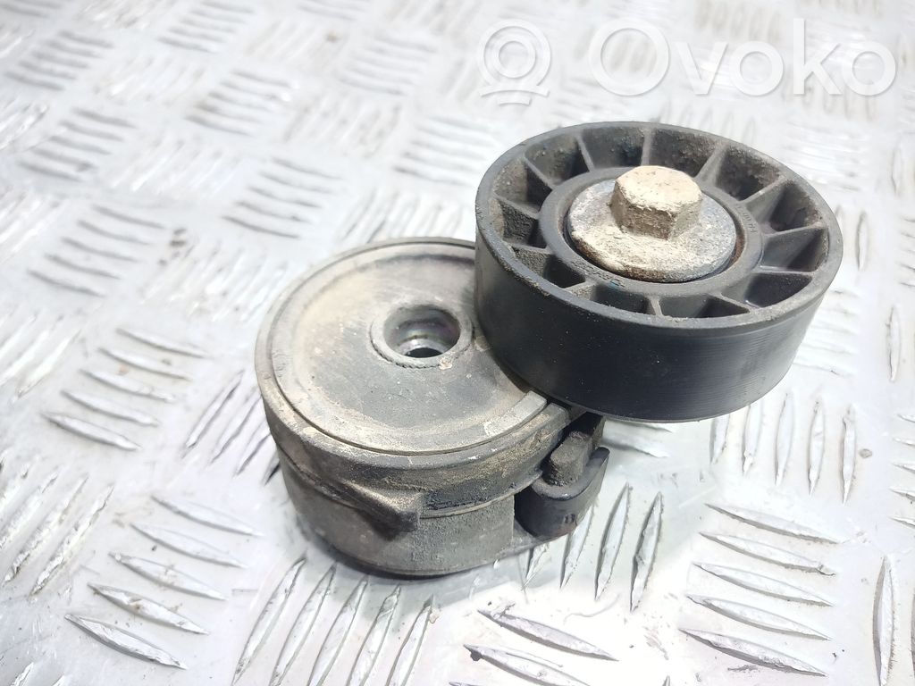 Napinacz paska wielorowkowego / Alternatora   D1C4