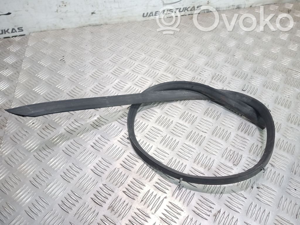 Opel Insignia A Gumowa uszczelka drzwi przednich 