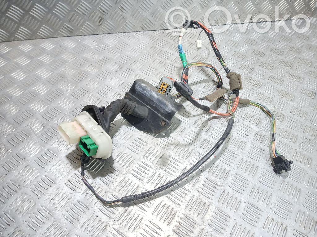 Jeep Patriot Cableado de puerta delantera 