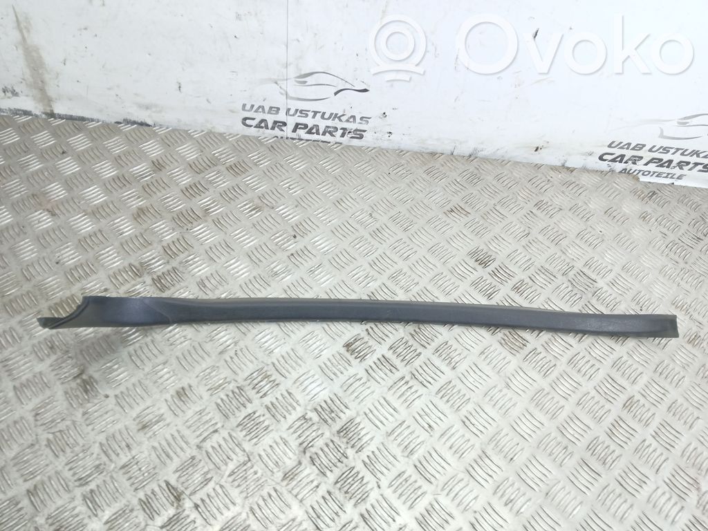 Moldura protectora del borde trasero   64780A1