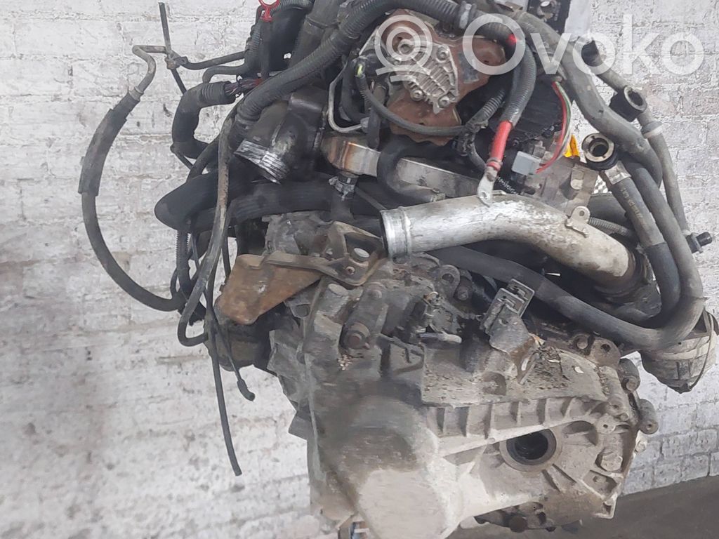 Motor
