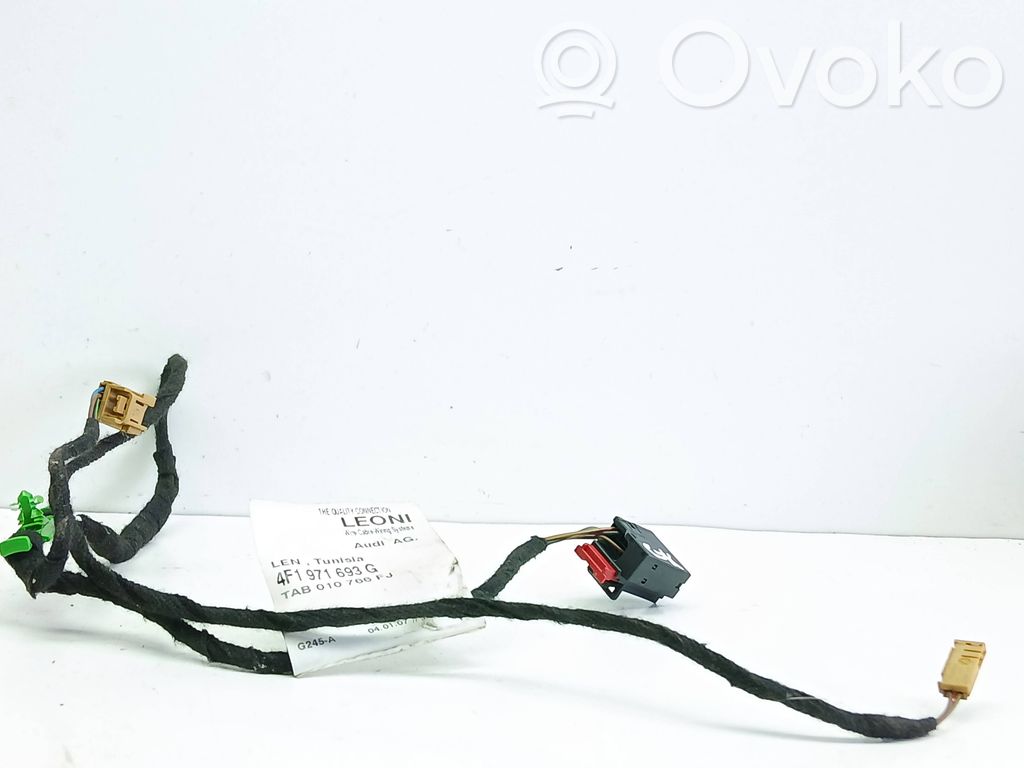 Audi A6 S6 C6 4F Cableado de puerta trasera 