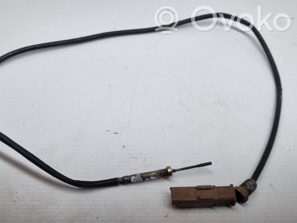 Citroen C6 Sensor de temperatura del escape 