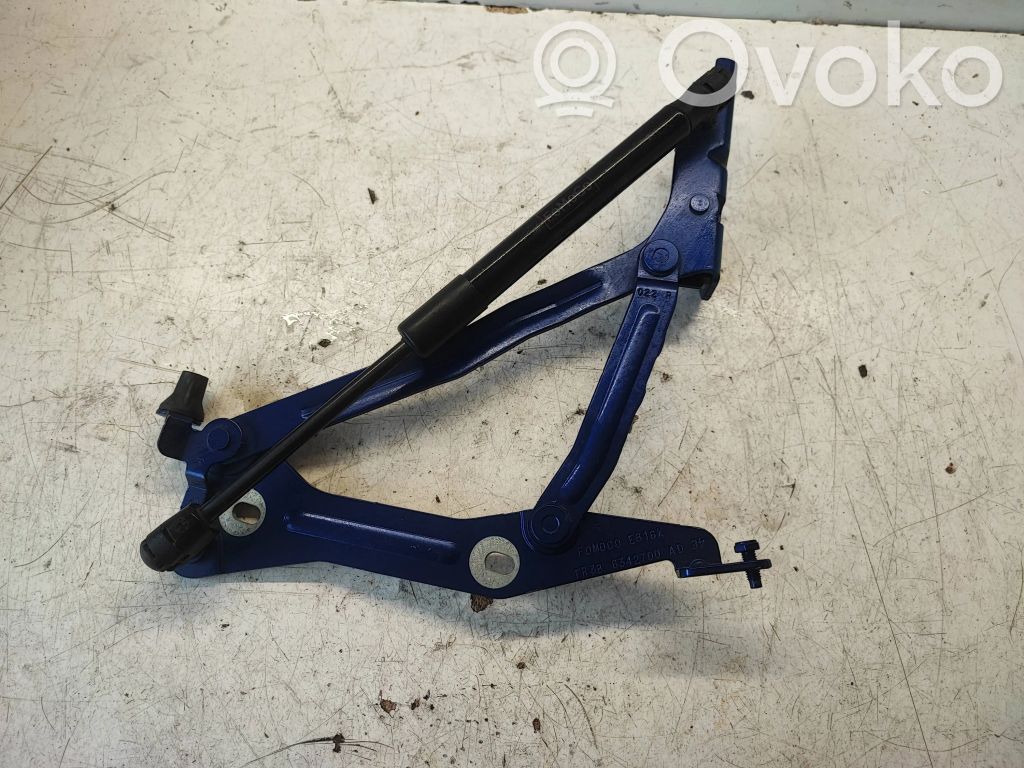 Ford Mustang VI Tailgate/trunk/boot hinge 