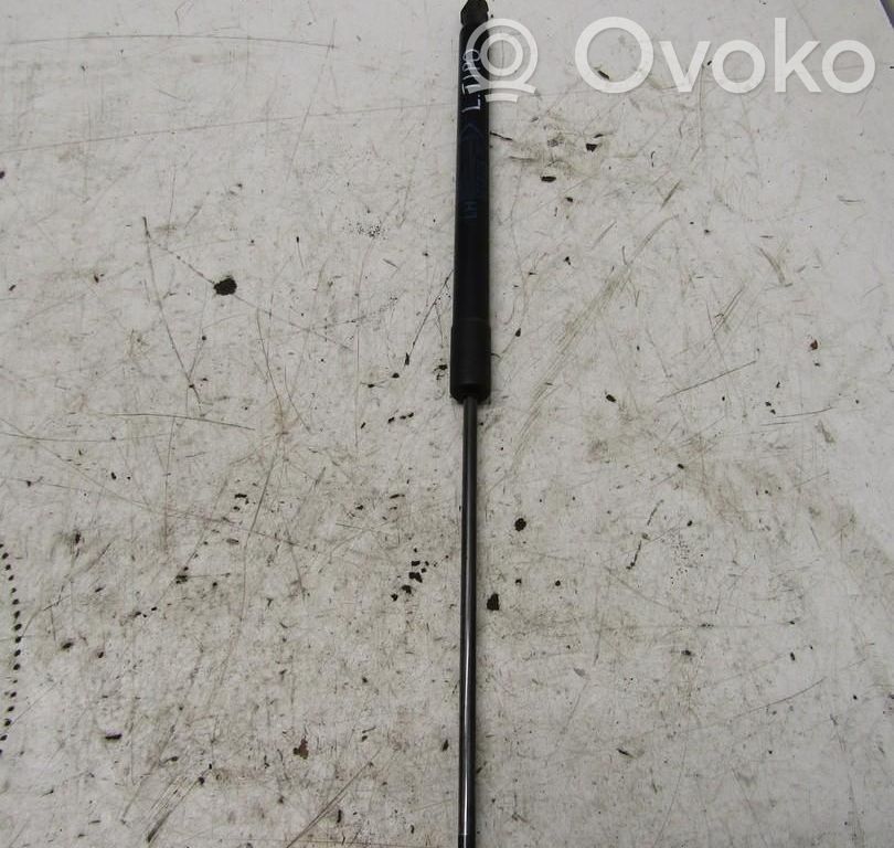 Fiat Tipo Tailgate strut 