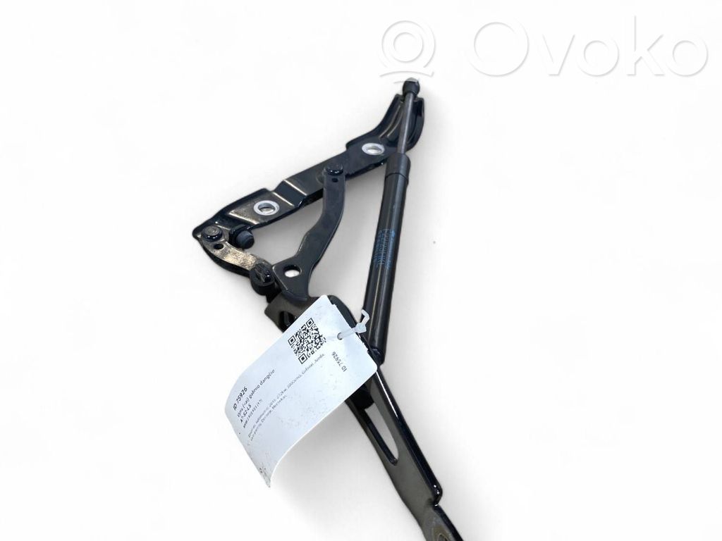 BMW 2 F22 F23 Cerniera portellone posteriore/bagagliaio 