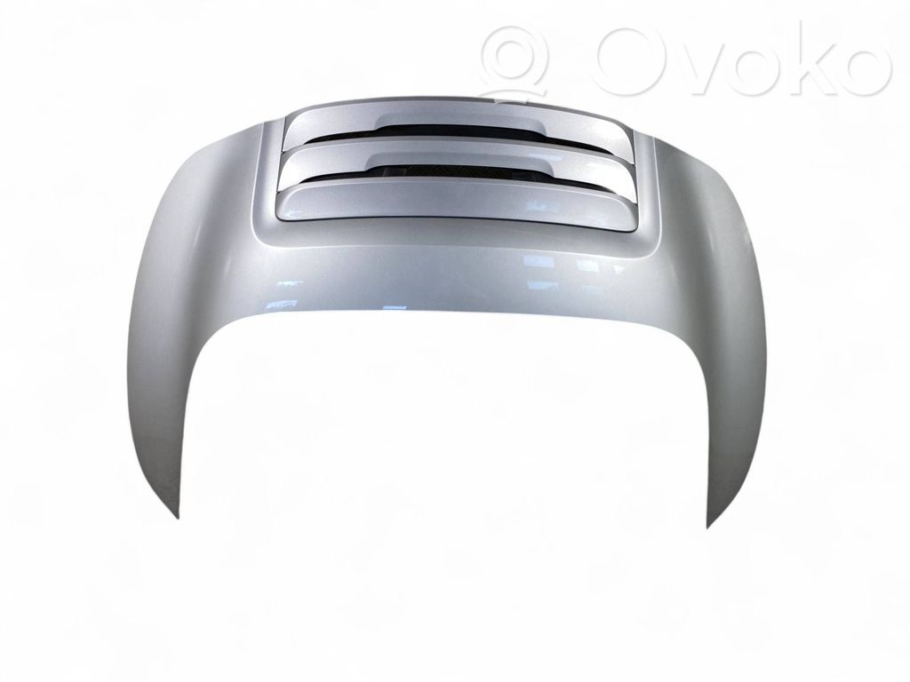 Tailgate/trunk/boot lid