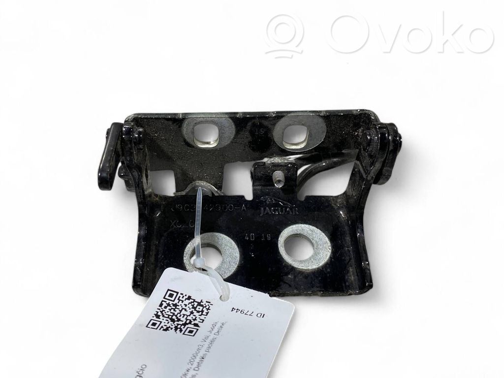Jaguar E-Pace Tailgate/trunk/boot hinge 
