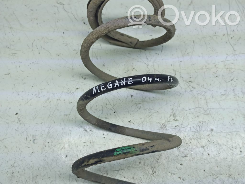 Front coil spring
