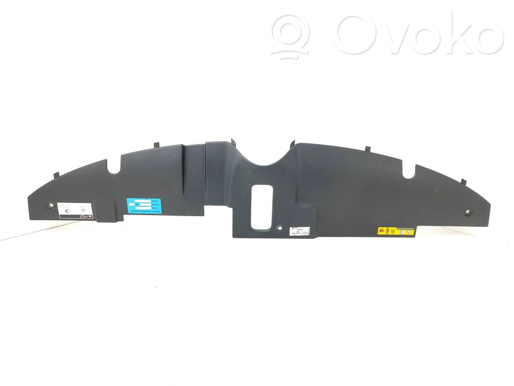 Citroen C4 II Picasso Osłona pasa przedniego 