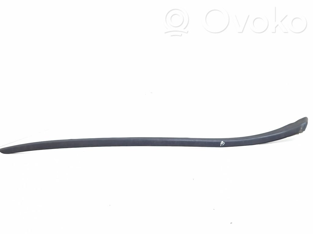 Citroen DS4 Windshield trim 