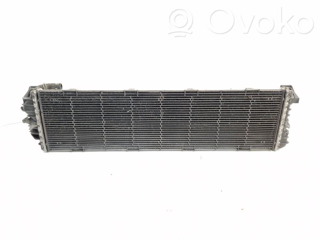 Ford Focus Optional radiator 
